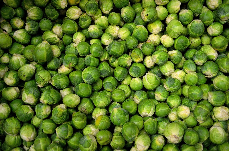 Various vegetables ready for blast freezing