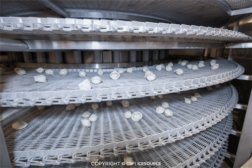 Пример из практики: линия по производству быстрозамороженных пельменей производительностью 1 тонна в час в городе Орск, Россия.